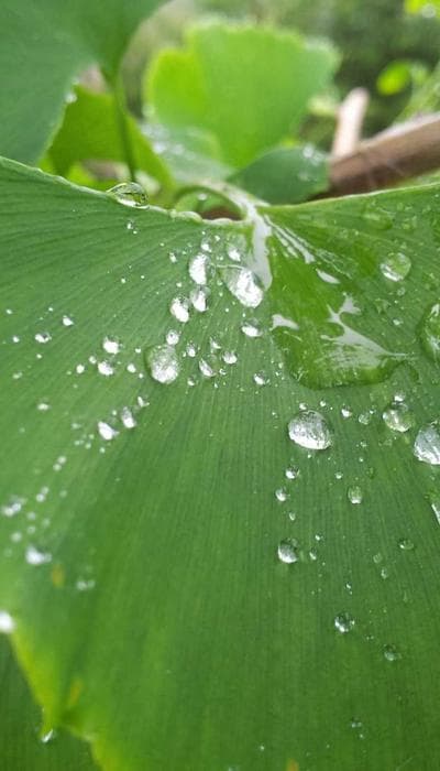 When you realize you're the toxic one