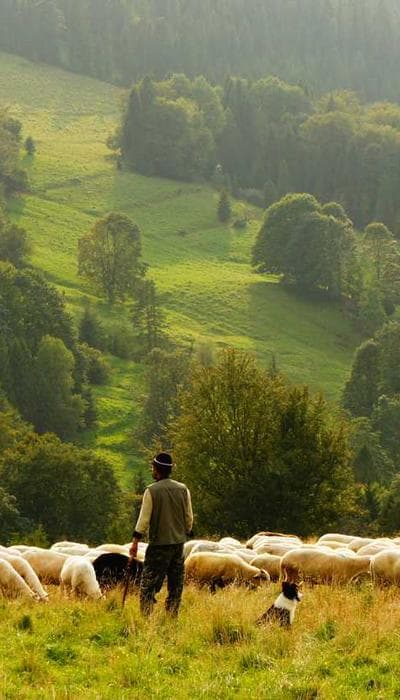 That one friend who always cancels